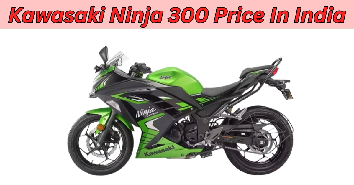 Kawasaki Ninja 300